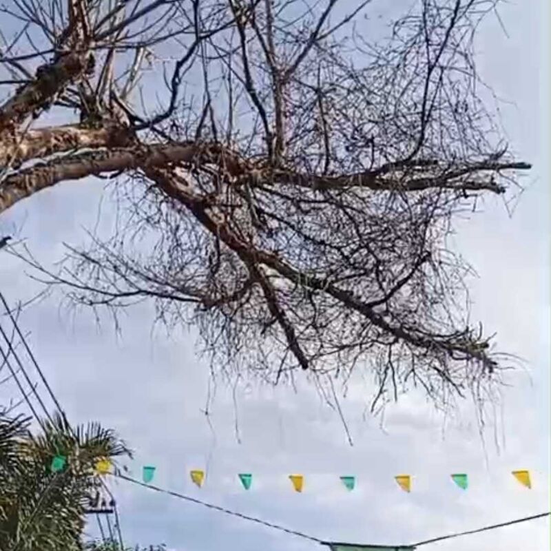 Imagem da publicação