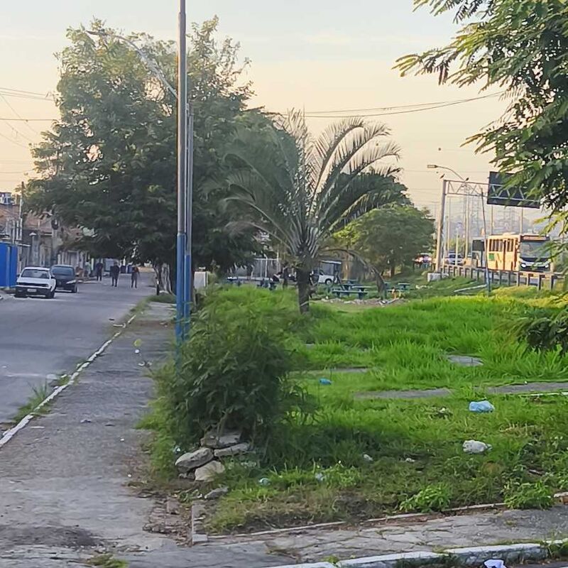 Imagem da publicação