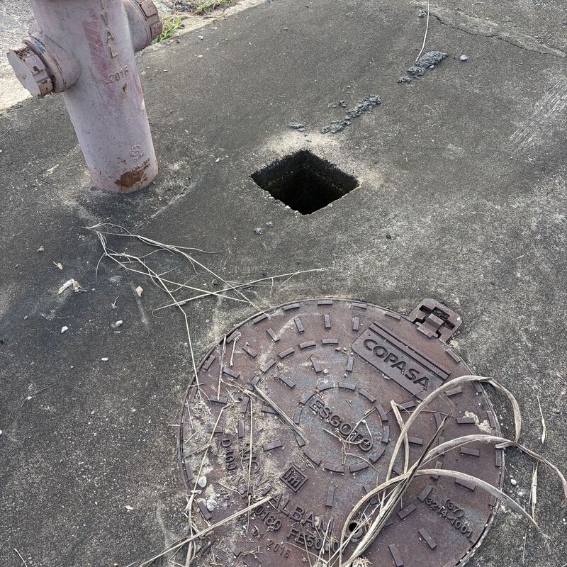 Imagem da publicação