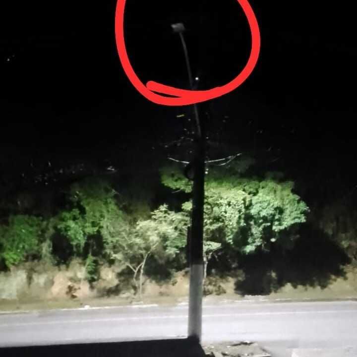 Imagem da publicação