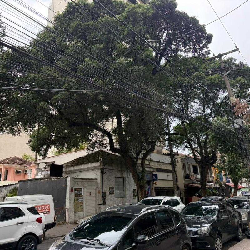 Imagem da publicação