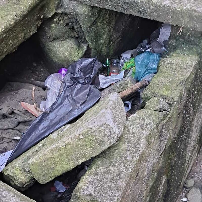 Imagem da publicação