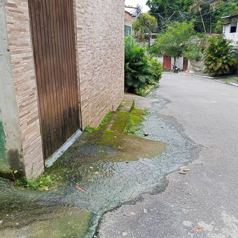 Imagem da publicação