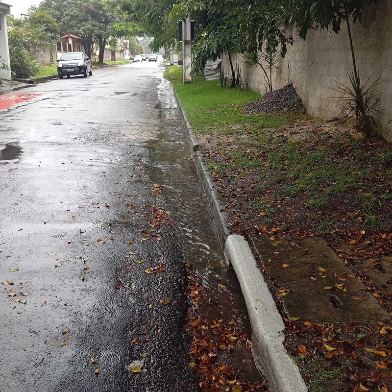 Imagem da publicação