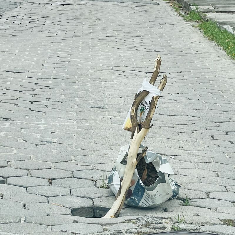 Imagem da publicação