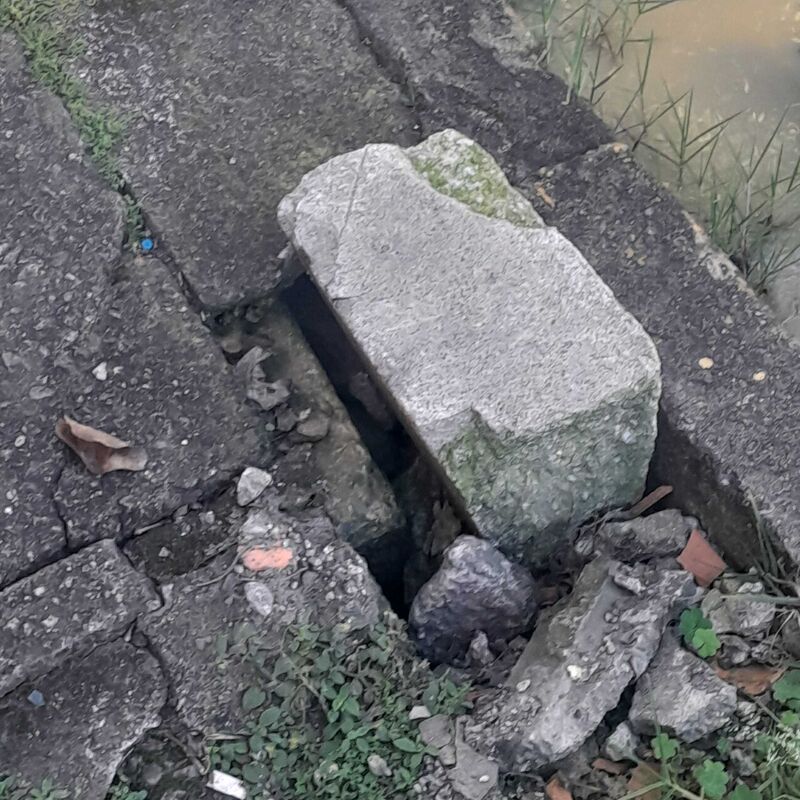Imagem da publicação