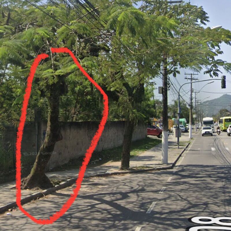 Imagem da publicação