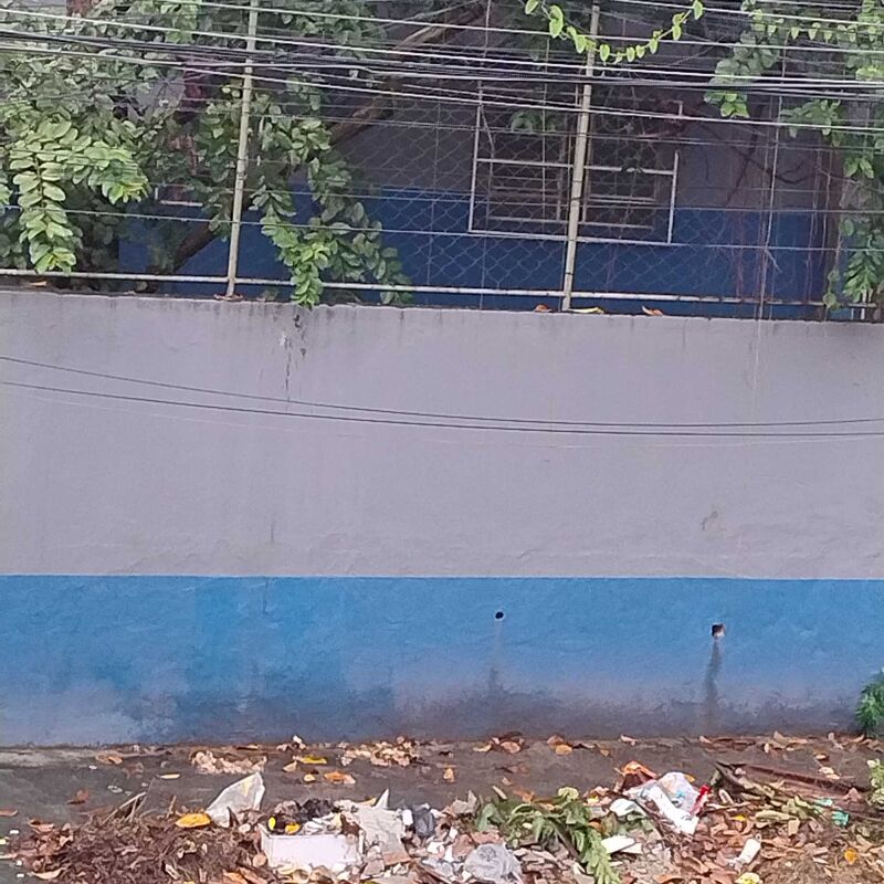 Imagem da publicação