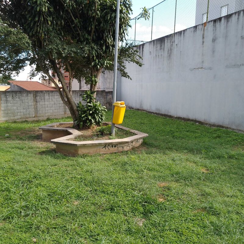 Imagem da publicação