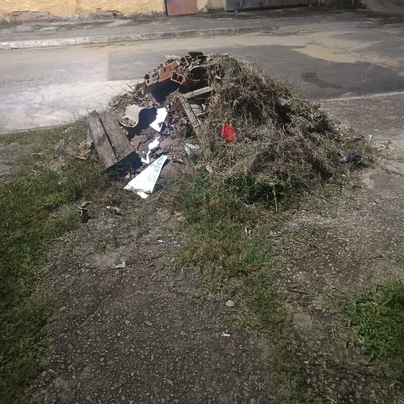 Imagem da publicação