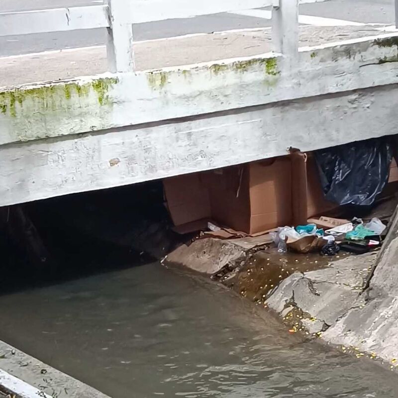 Imagem da publicação