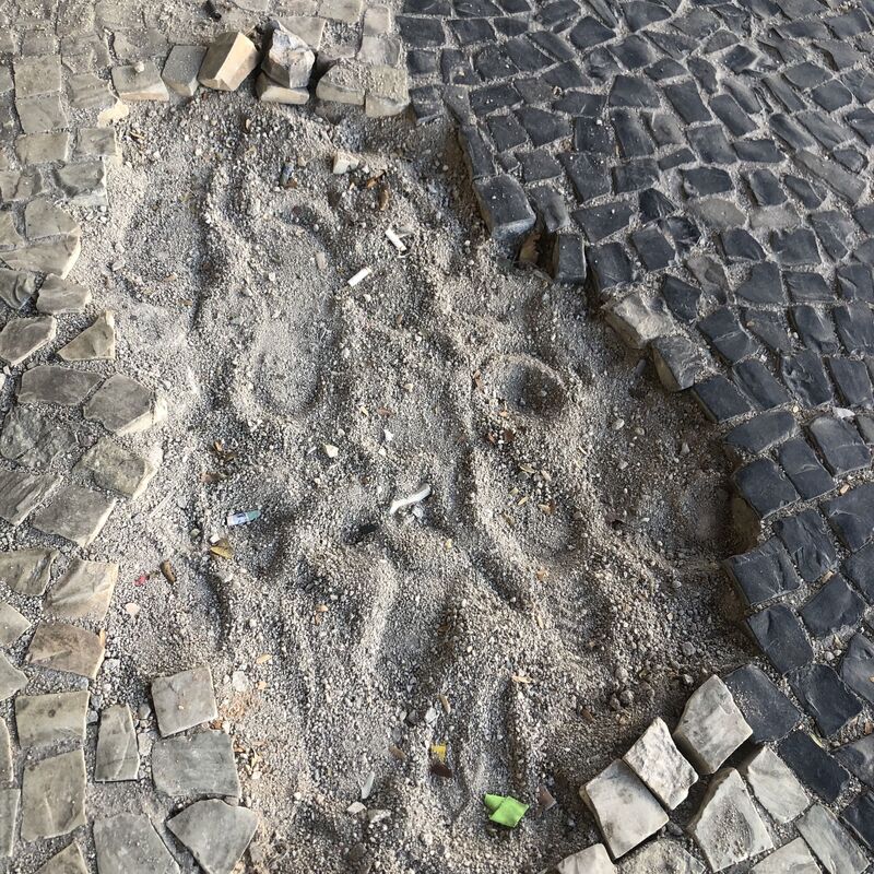 Imagem da publicação