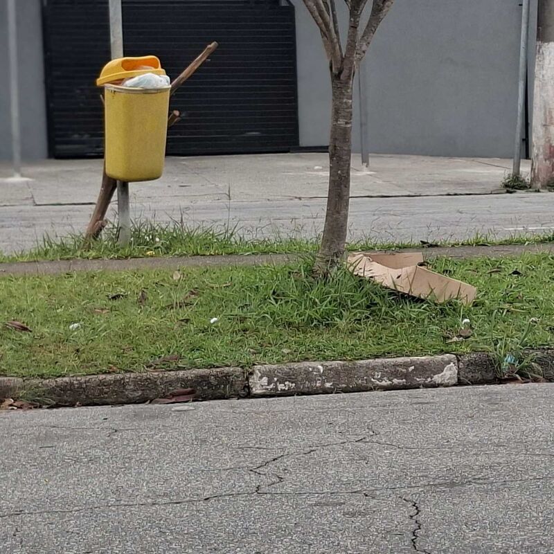 Imagem da publicação