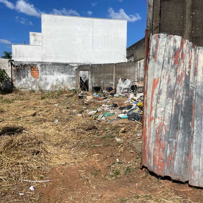 Imagem da publicação