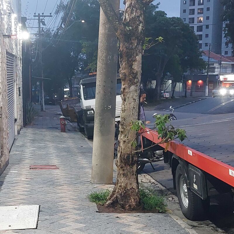 Imagem da publicação