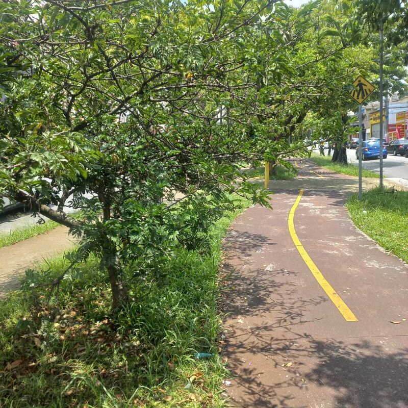 Imagem da publicação