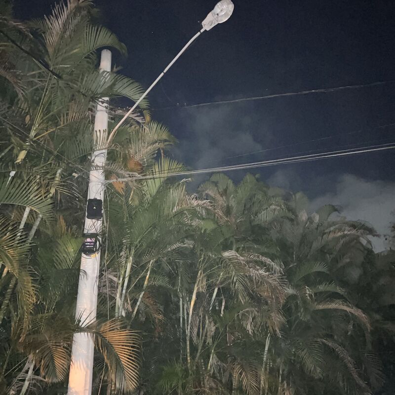 Imagem da publicação