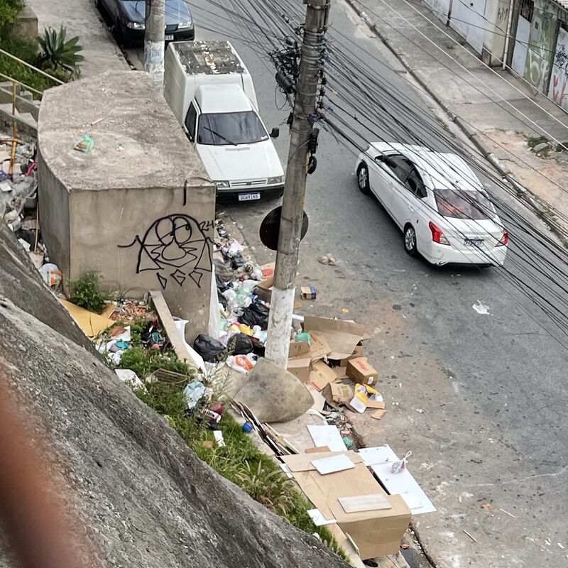 Imagem da publicação