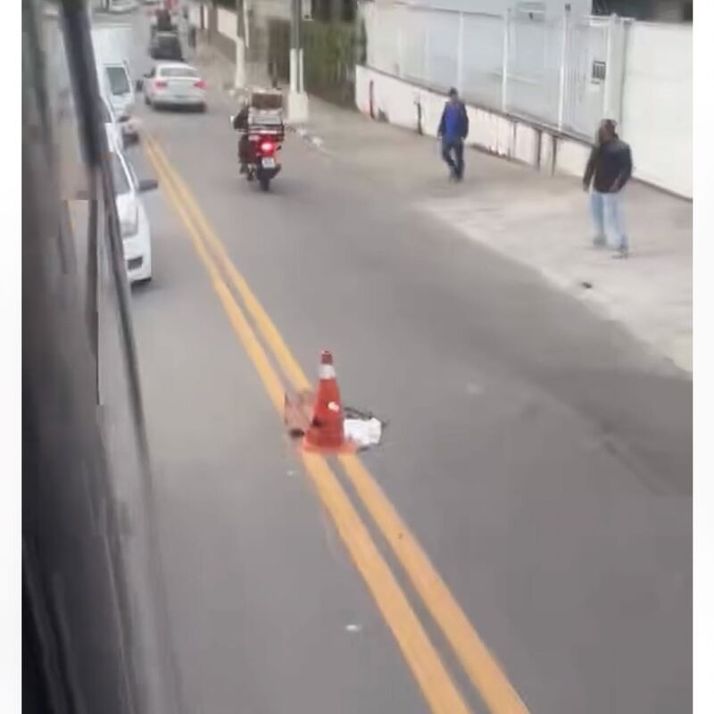 Imagem da publicação