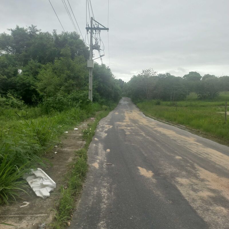 Imagem da publicação