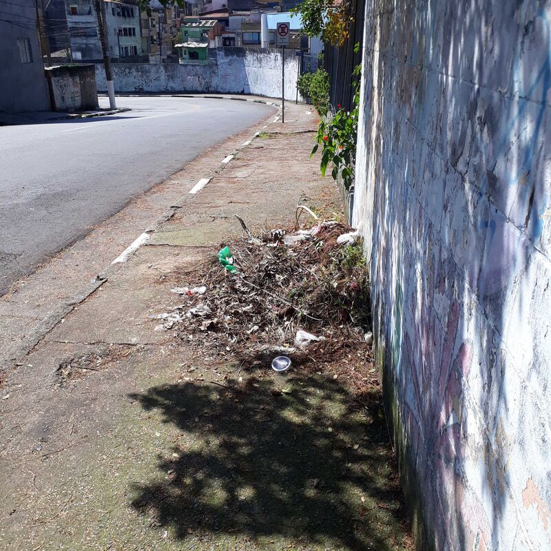 Imagem da publicação