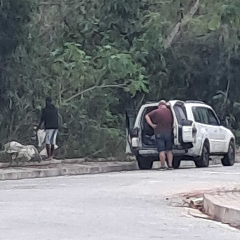 Imagem da publicação