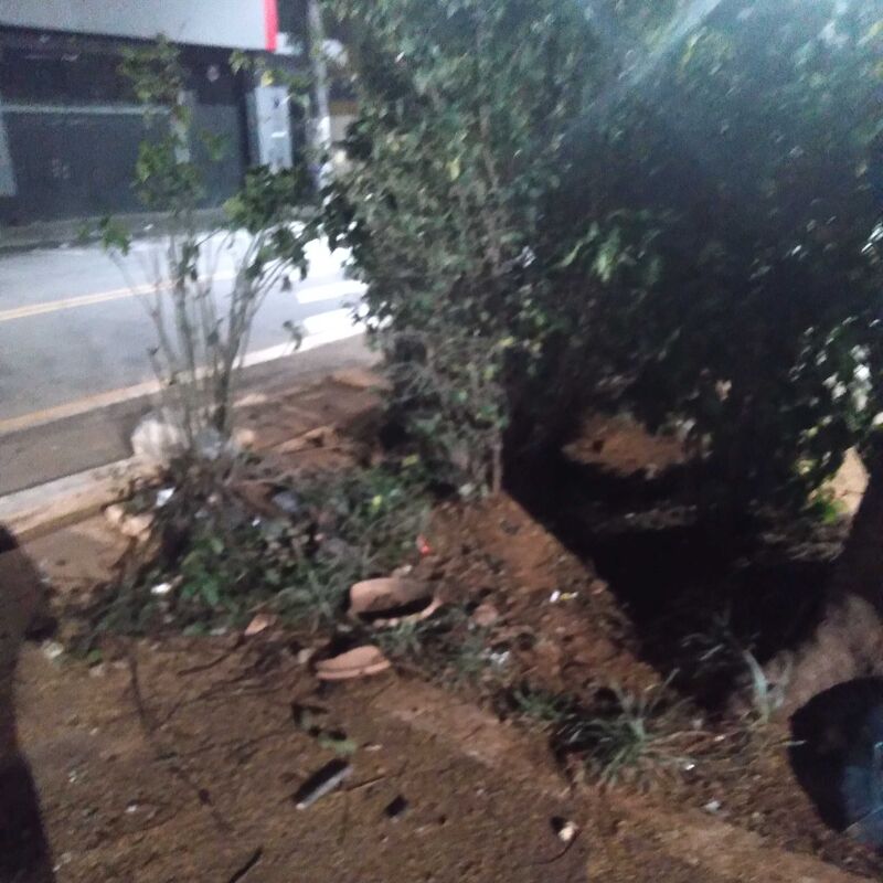 Imagem da publicação