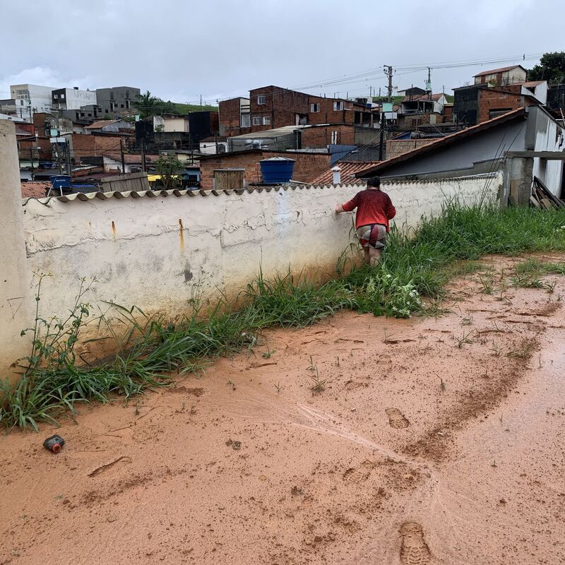 Imagem da publicação