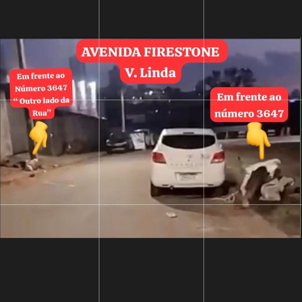 Imagem da publicação