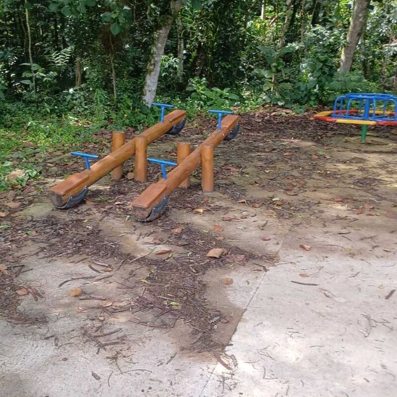 Imagem da publicação