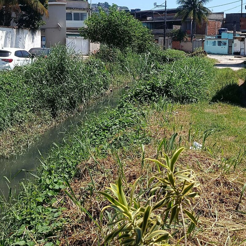 Imagem da publicação