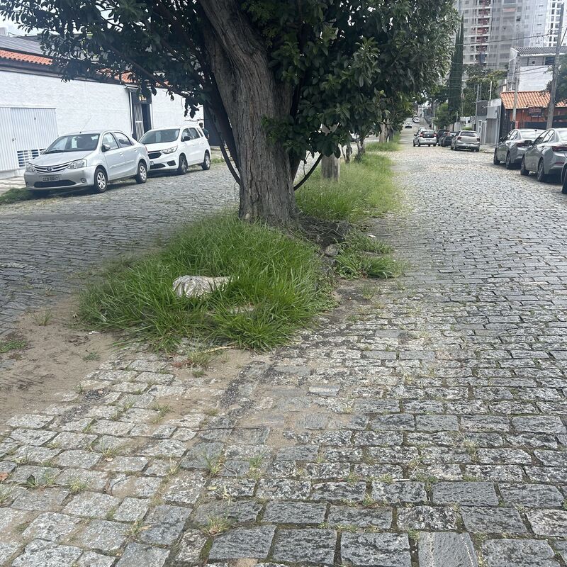 Imagem da publicação