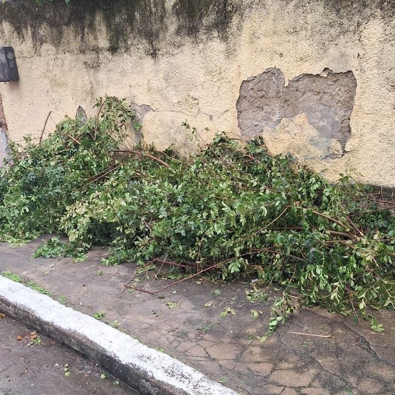 Imagem da publicação