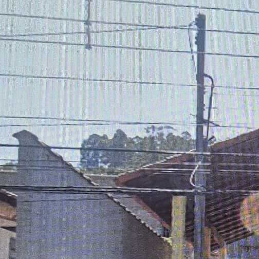 Imagem da publicação