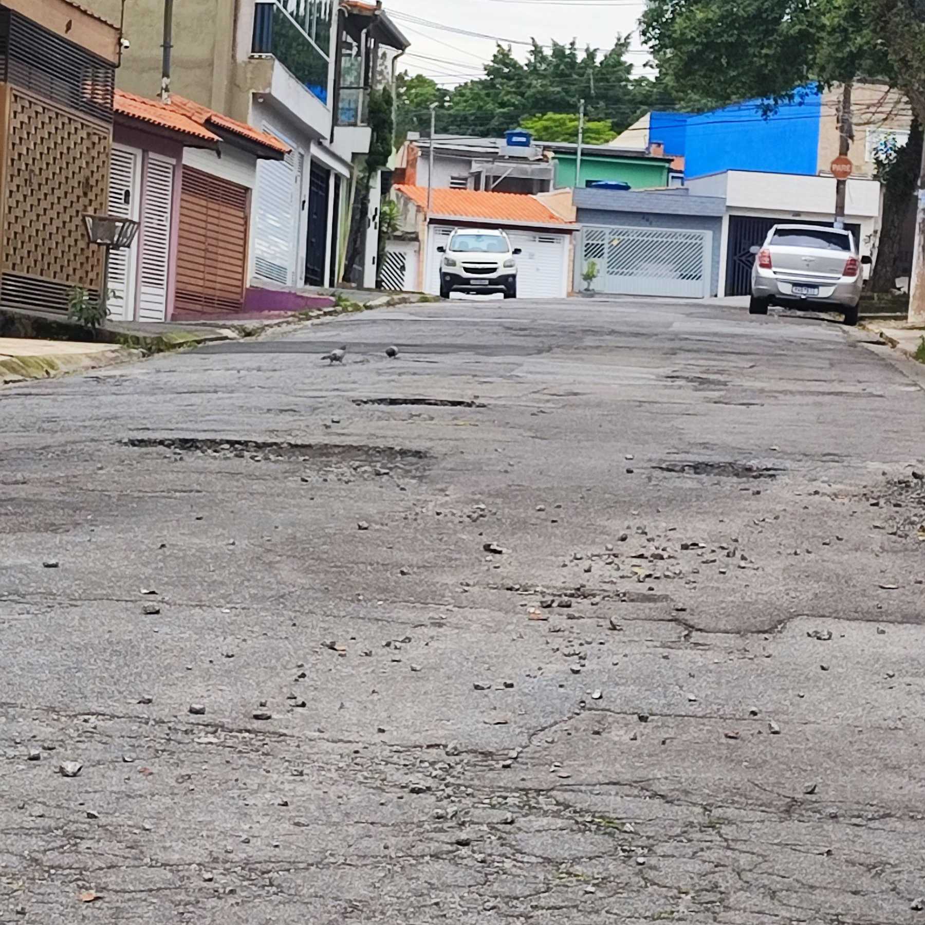 Imagem da publicação