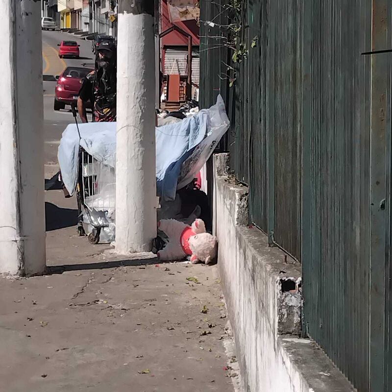 Imagem da publicação