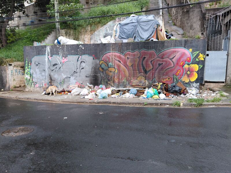 Imagem da publicação