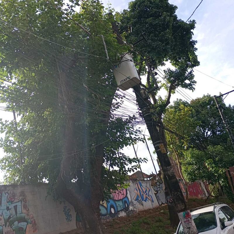 Imagem da publicação