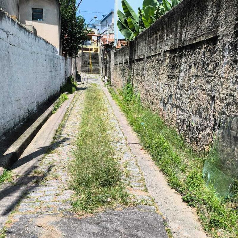 Imagem da publicação