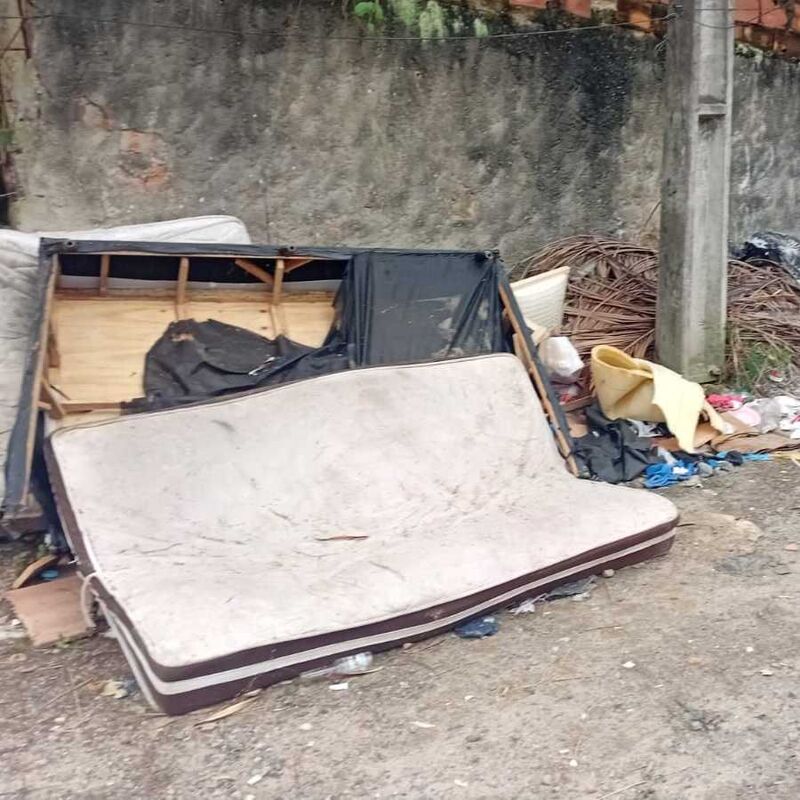 Imagem da publicação