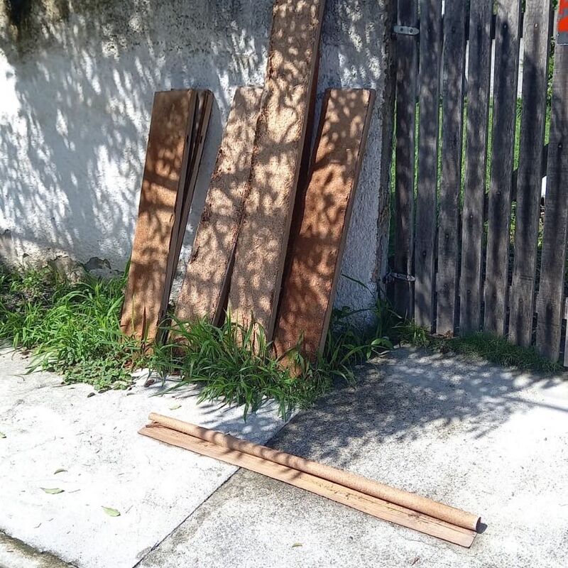 Imagem da publicação