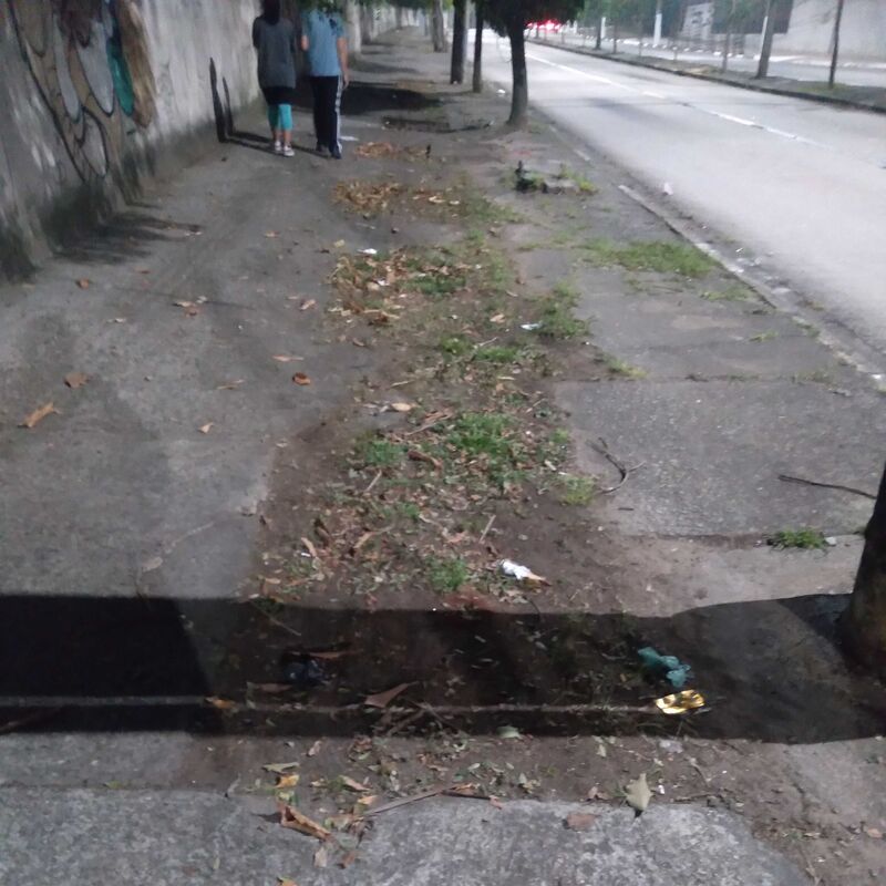 Imagem da publicação