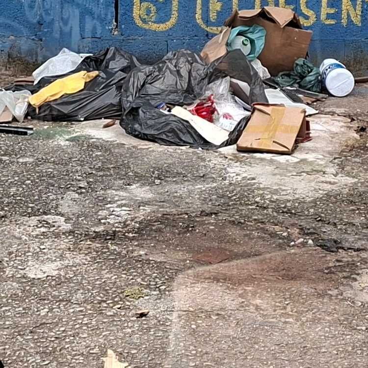 Imagem da publicação