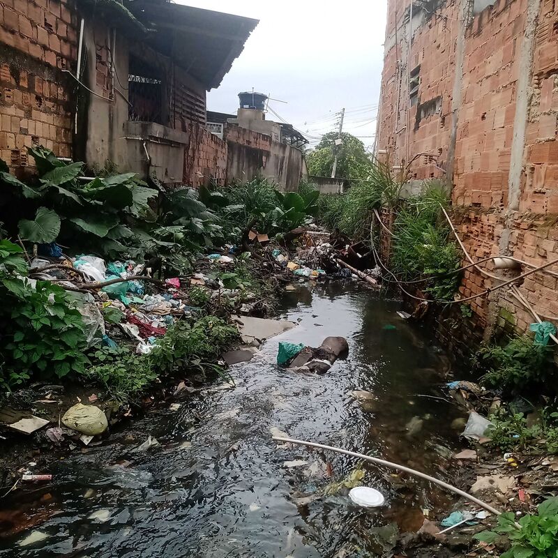 Imagem da publicação