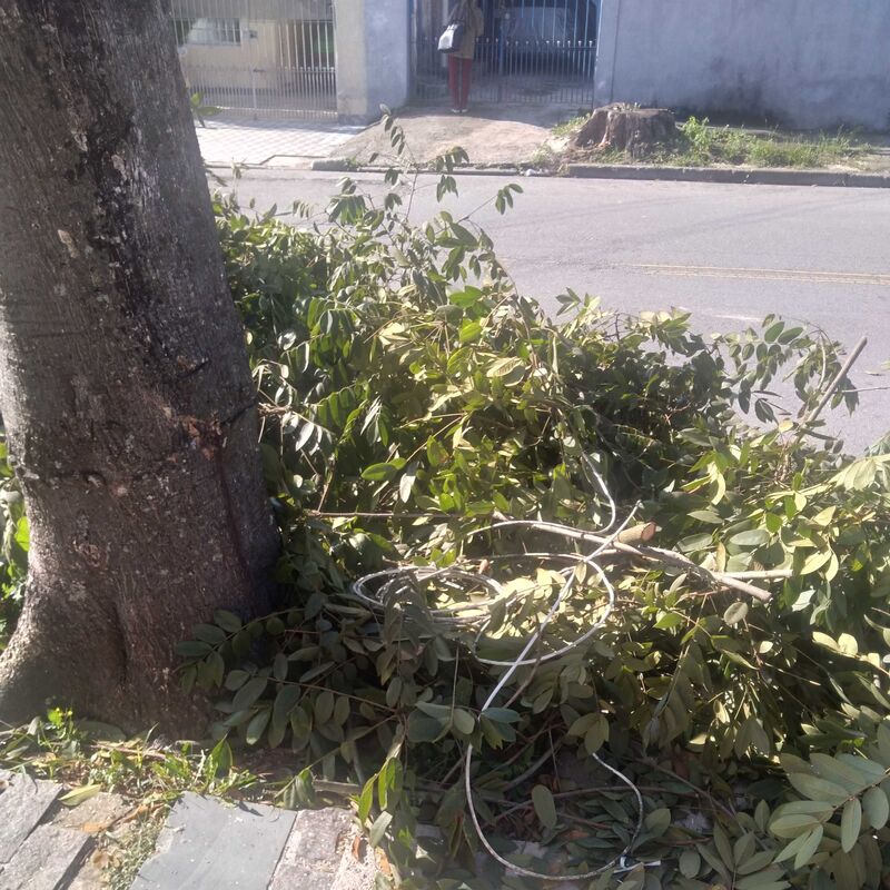 Imagem da publicação