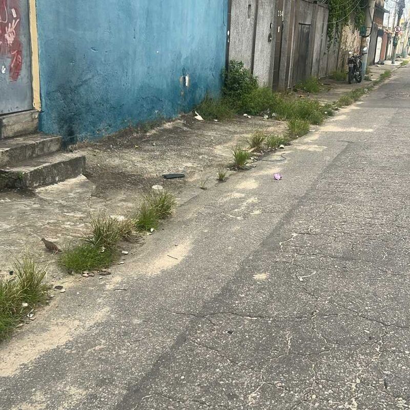 Imagem da publicação