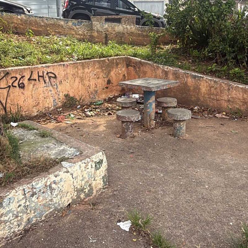 Imagem da publicação