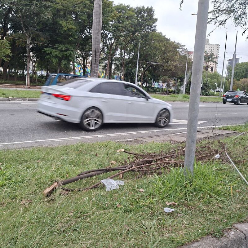 Imagem da publicação