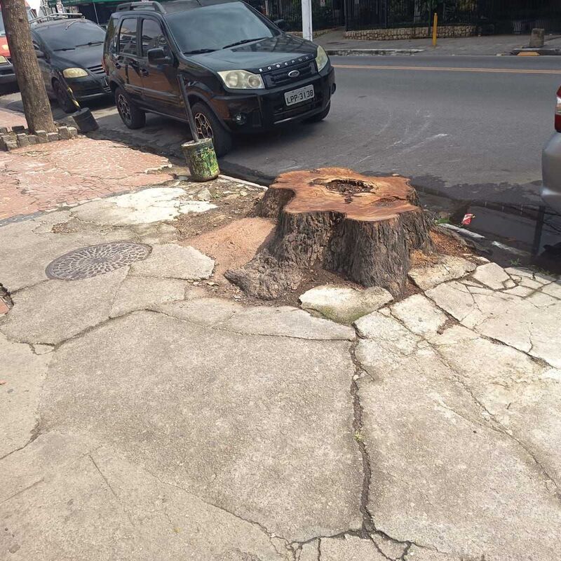 Imagem da publicação