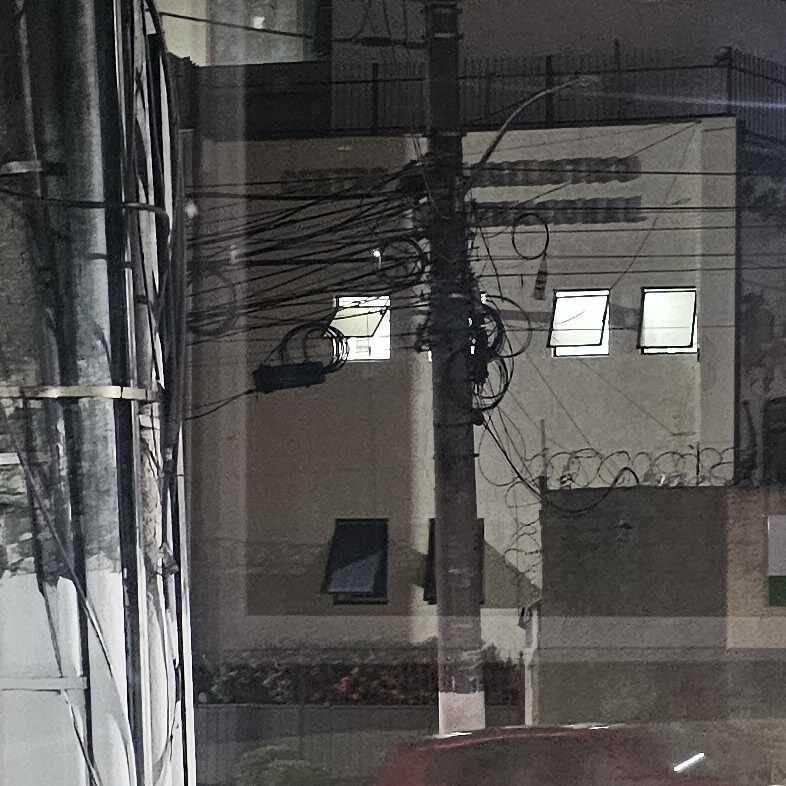 Imagem da publicação